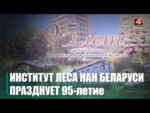 Інстытут лесу Нацыянальнай акадэміі навук Беларусі адзначае 95-годдзе