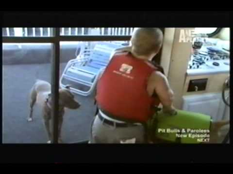 planet pit - Shorty, Ashley, and Steven save Miss Lucy from being stranded on a house boat.