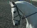 Chloe & Roger GCSE Video Chloe & Roger GCSE Video