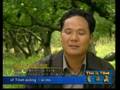 videos de Nationwide Suppot for Tibet