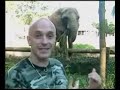Passeio Animal - Elefante
