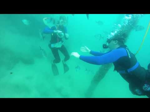 Dive in with Port Noarlunga SNUBA, Adelaide