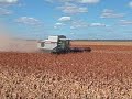 Sorghum Harvest on the Darling Downs 2007 Sorghum Harvest on the Darling Downs 2007