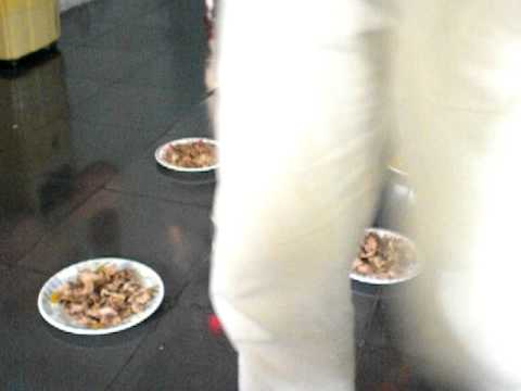 DSCN1346
