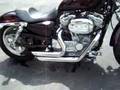 Vance and Hines Short Shots on my Sportster