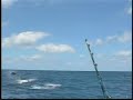 Marlin Madness