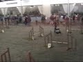 Finn Jump HZL HQ.wmv Finn Jump HZL HQ.wmv