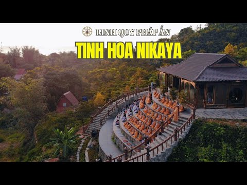 NIKAYA Giảng Giải - Bốn Loại Thức Ăn - Kinh Chánh Tri Kiến 4 - Trung Bộ*