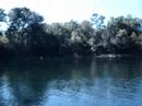 Lake Taneycomo Boat Ride 2 Lake Taneycomo Boat Ride 2