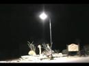 Bats and Flying Snake Over Lajitas, TX on the Rio Grande