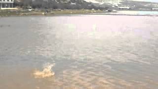 بحيرة صانور عماد