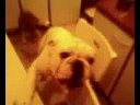 Tyson