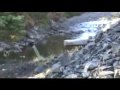 Meandering Around Merritt Part 1