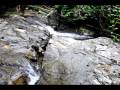 Cascade of Sarawak