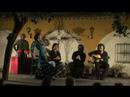 Lakshmi \"La Chimi\" por Soleá Lakshmi \"La Chimi\" por Soleá