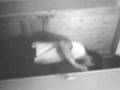 videos de maxime lettre a france