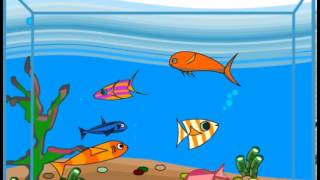Little fish
