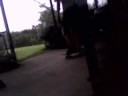 nollie back