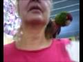 videos de Homer the Conure