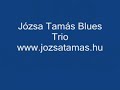 j�zsa tam�s blues trio - dolemite 2
szentendre, 2007.08.26.