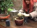 Planten luisteren graag naar muziek! Planten luisteren graag naar muziek!