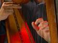 Bernard Benoit harpe celtique au Jerzual