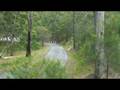 videos de Noosa Hillclimb