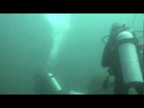 ergiannico - Diving with Sea Lions at Coronado Island.....
