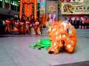 譚定邦龍獅團www.fatkeung.com武術龍獅會樂富2007蟹青  www.whatsup.com.hk龍獅藝論壇