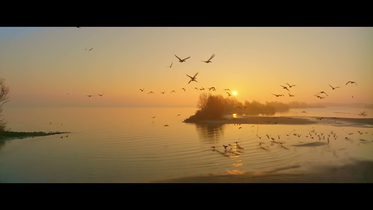 golden hour with a Mavic 3 + anamorphic filter