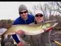 Fly Fishing Musky