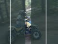 300ex lt250r