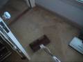 1980 Electrolux 1453 Special