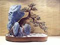Bonsai Tree Sculpture #18 by Jim Shull