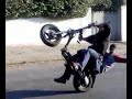 Marokkaanse scootermuis failed