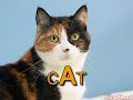 xoax.net This childrens educational video teaches kids how to spell some simple words: car, ball, farm, ship, king, bow, nut, cat, jet, fish, fox, kite, moon, ring, cow, dog, sky, sun, web, wall. Lesson page: xoax.net Please submit all questions to our forum: xoax.net