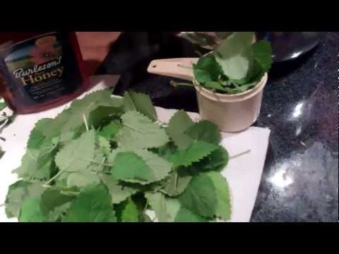 how to use lemon balm