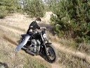 Harley Davidson Nightster 1200 - D?em \"Harley Mój\" Harley Davidson Nightster 1200 - D?em \"Harley Mój\"