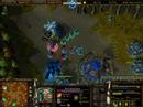 warcraft frozen throne peons block saves tauren chieftain warcraft frozen throne peons block saves tauren chieftain