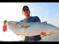 SLAMMER BLUEFISH Accurate Spinning Reel/ Team Old SCHOOL