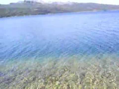 TRUCHAS SALTANDO SOBRE EL AGUA