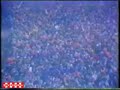 Zvezda - Milan (treca utakmica)
