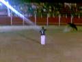 RAFI FRODIN EN SAN LORENZO 2008