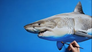 Shark Painting Oil Painting on Canvas
