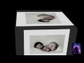 LAS MEJORES POSICIONES EN LA CAMA.wmv