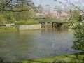 japanse tuinen