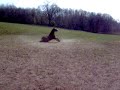 Hudini rolling after bath