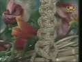 Yemen Ya galb Kam Sarak - Ahmad Al-Synaidar Music Video