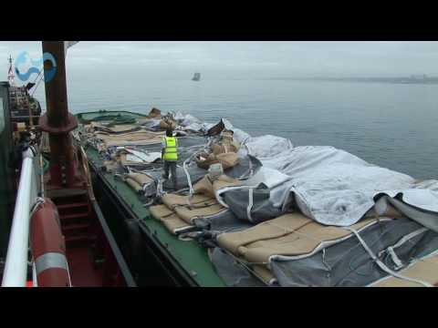 Documentary on Boscombe Multi-Purpose Reef