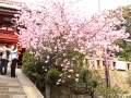 �ᲬȬȨ�ܤβ��ź�:YouTube������=4��